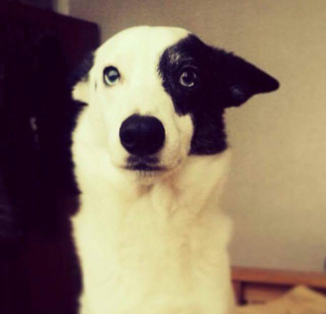 received_10153804481203801