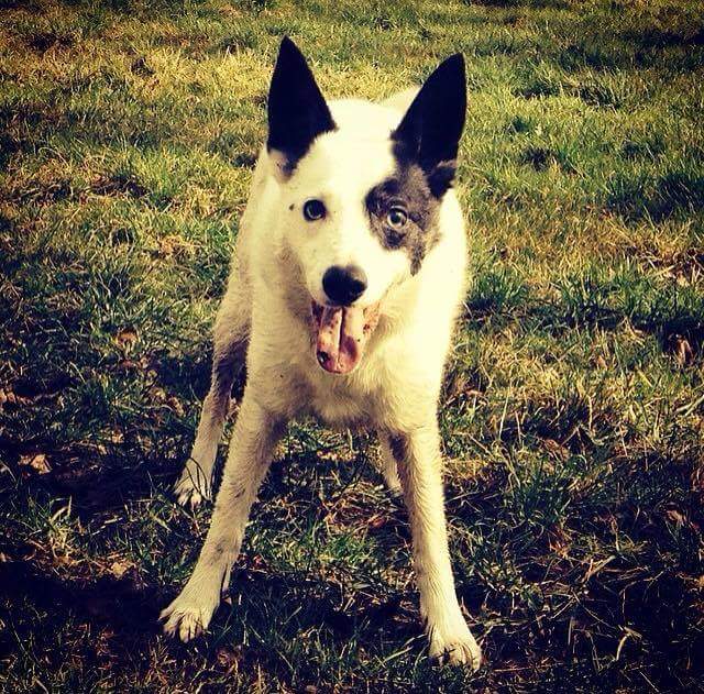 received_10153804481373801