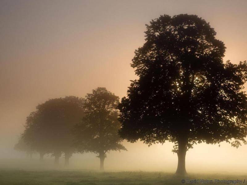 Autumn/Winter: ‘The Load&nbsp;Out’