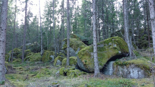 IMG_20170406_162918127