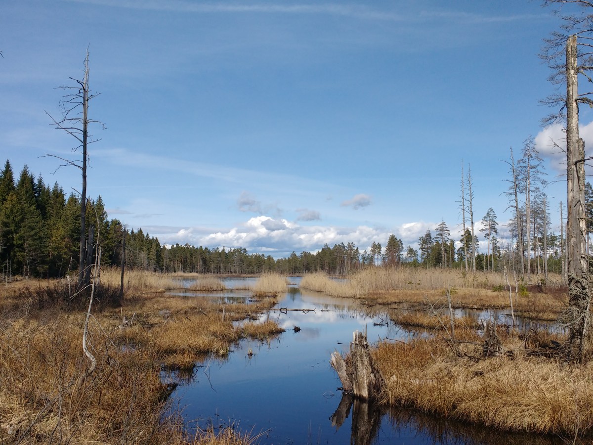 Sweden: The Bergslagsleden