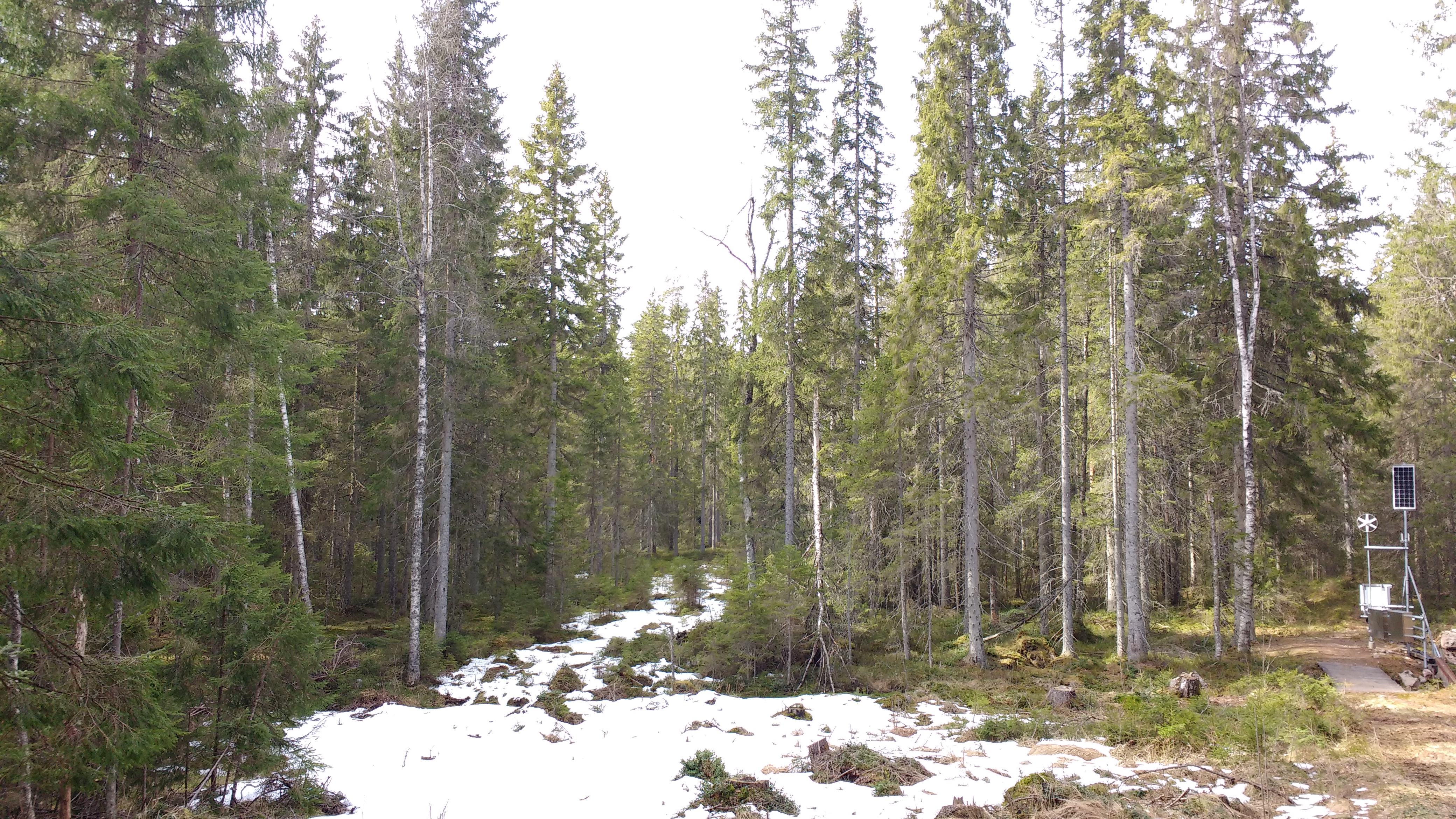 IMG_20170408_132517302