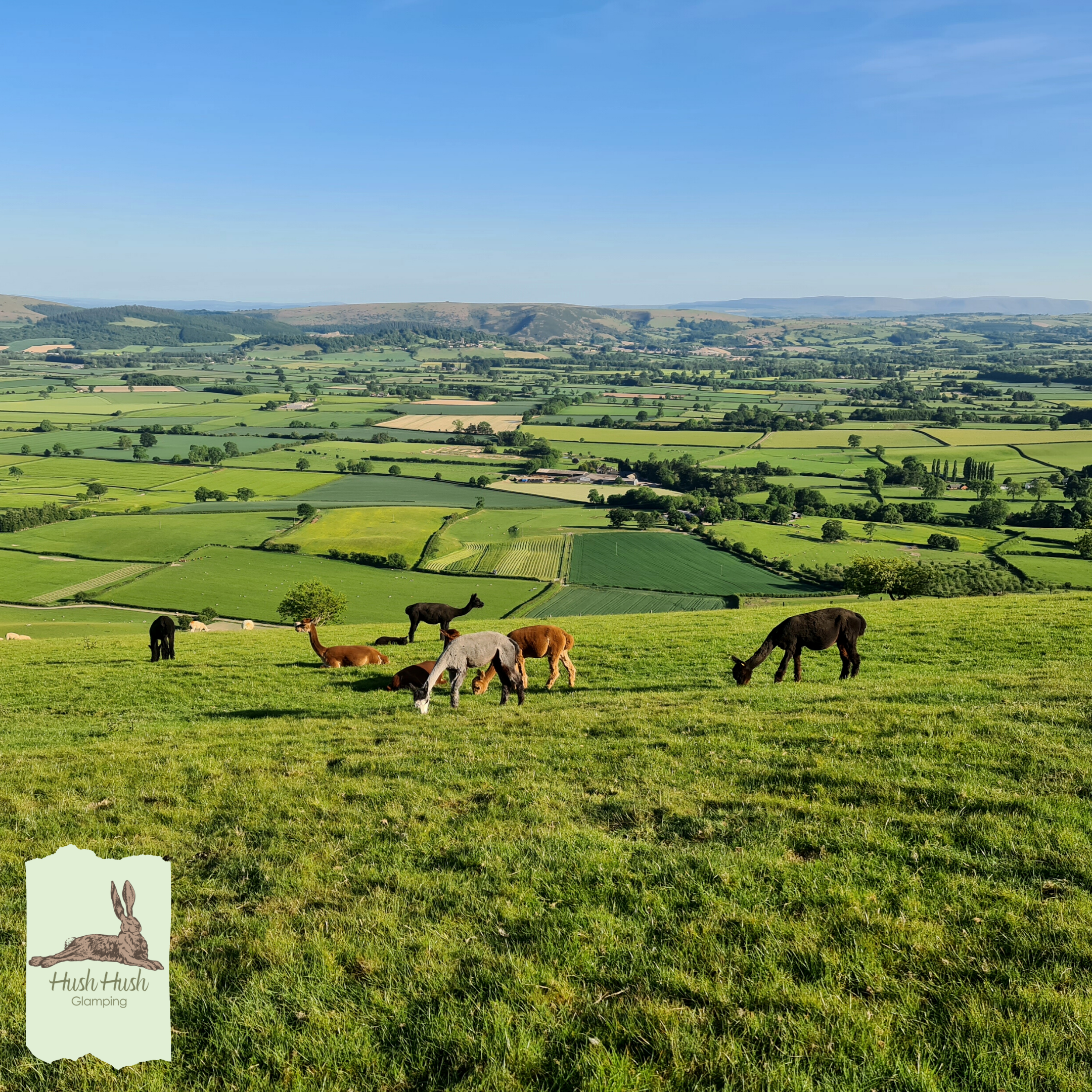 Hush Hush Glamping (4) (1)