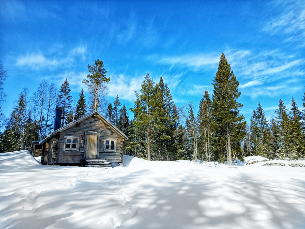 Sweden: ‘The Forest of&nbsp;Skule’